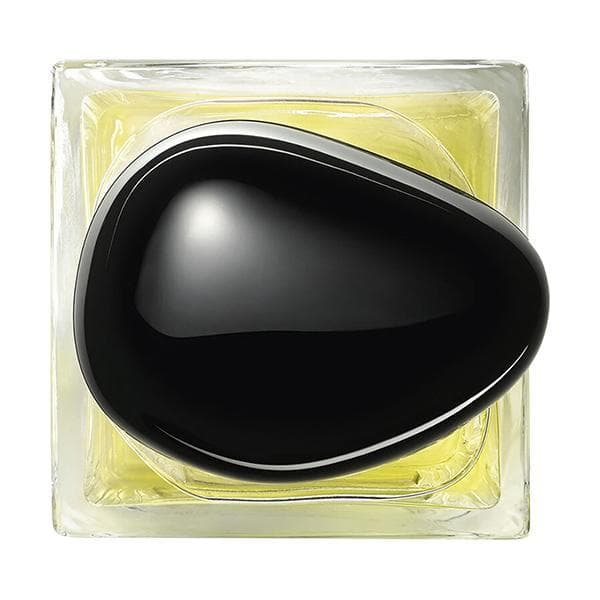 جورجيو ارماني بريف اورانجري فينيس او دو تواليت - 100 مل